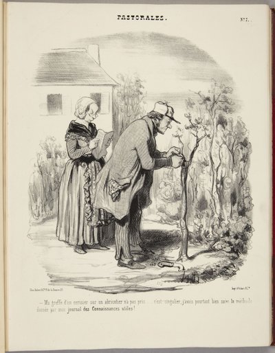 Můj roub třešně na meruňce se neujal... od Honoré Daumier