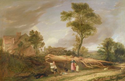 Dřevařův oběd od Hopkins Horsley Hobday Horsley
