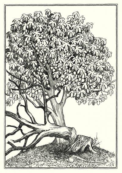 Ilustrace ke Kázání na hoře (rytina) od Horace J. Knowles