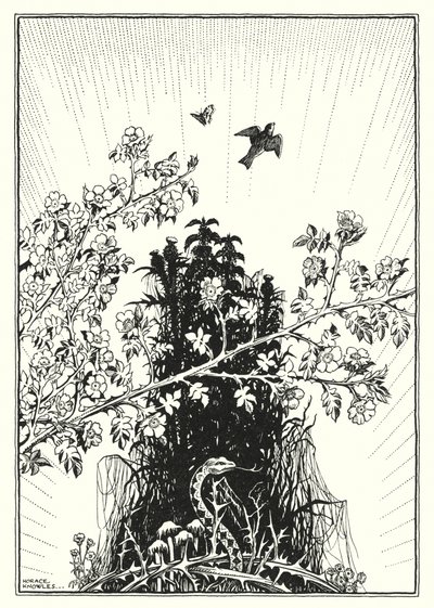 Ilustrace ke Kázání na hoře (rytina) od Horace J. Knowles