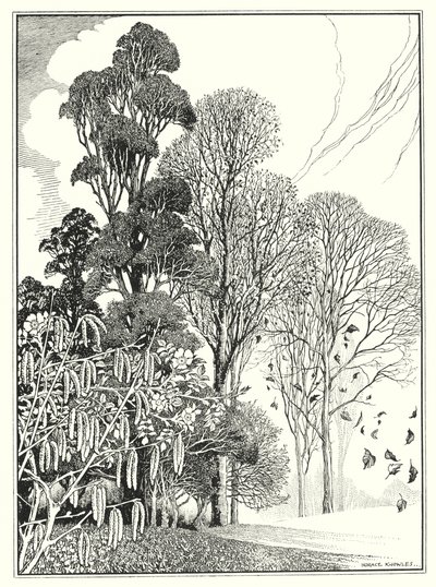 Měsíce (litografie) od Horace J. Knowles