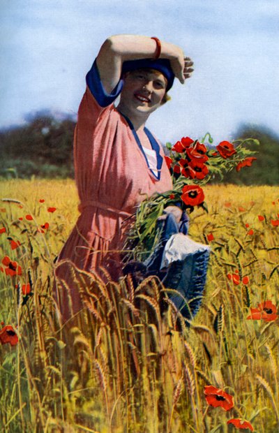 Anglická růže, c1922 od Horace Walter Nicholls