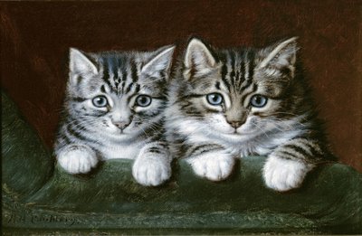Dvě mourovatá koťátka (olej na plátně) od Horatio Henry Couldery