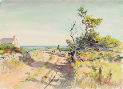 Bez názvu, konec 19.-začátek 20. století. od Howard Russell Butler