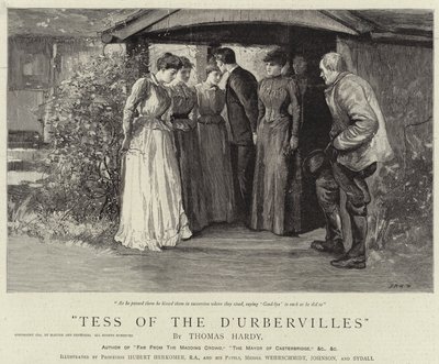 Tess z D