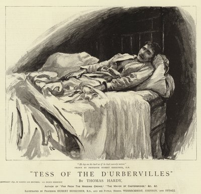 Tess z D