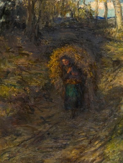 Fern sběrač od Hugh Cameron
