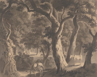 Wychwoodský les od Hugh William Grecian Williams