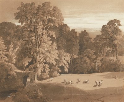 Parkland v Minto House (pero, inkoust a mytí) od Hugh William Williams