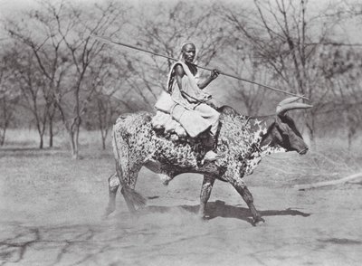 Afrika: Aulad Hamid (čb foto) od Hugo Adolf Bernatzik