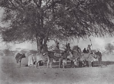 Afrika: Karavana volských potahů na Bílém Nilu (čb fotografie) od Hugo Adolf Bernatzik