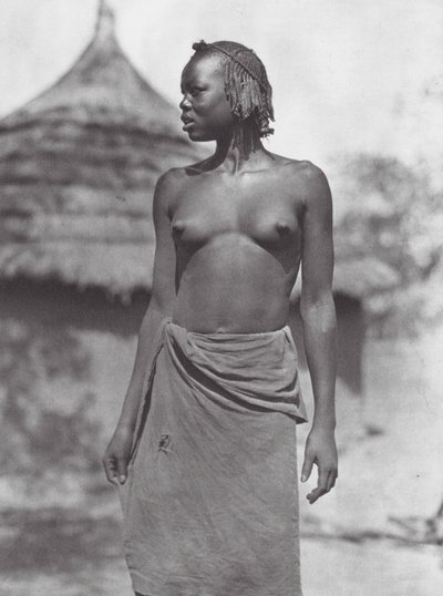 Afrika: Eliri dívka (čb fotografie) od Hugo Adolf Bernatzik