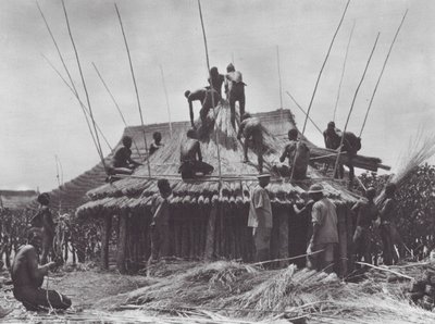 Afrika: Stavba odpočinkového domu u Amadi (čb foto) od Hugo Adolf Bernatzik