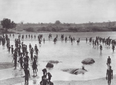 Afrika: Morus staví most u Amadi (čb foto) od Hugo Adolf Bernatzik