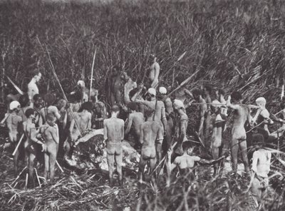 Afrika: Nuerští lovci s tělem slona (čb fotografie) od Hugo Adolf Bernatzik