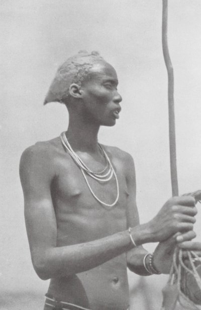 Dinka-Neger (čb fotografie) od Hugo Adolf Bernatzik