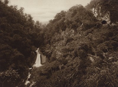 Mexiko: Atoyac, Salto de agua (čb fotografie) od Hugo Brehme
