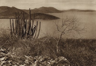 Mexiko: Poblíž pobřeží Baja California (čb fotografie) od Hugo Brehme