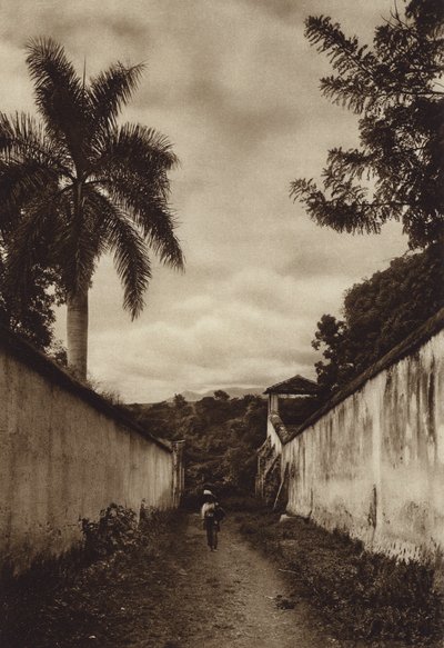 Mexiko: Cuernavaca, ulice vedoucí do vesnice San Antonio (čb fotografie) od Hugo Brehme
