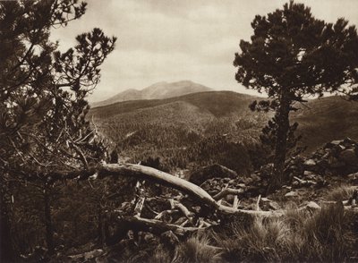 Mexiko: El Ajusco, pohled ze San Miguel (čb fotografie) od Hugo Brehme