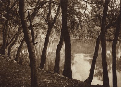 Mexiko: Las fuentes de Tlalpam D F (čb fotografie) od Hugo Brehme