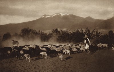 Mexiko: Okolí Amecameca (čb fotografie) od Hugo Brehme