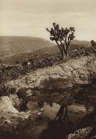 Mexiko: Okolí Toluky (čb fotografie) od Hugo Brehme