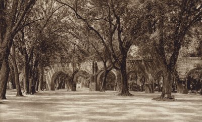 Mexiko: Morelia, Staré vodovodní potrubí (čb fotografie) od Hugo Brehme