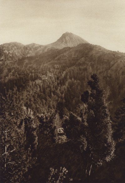 Mexiko: Nevado de Colima, částečný pohled (čb fotografie) od Hugo Brehme