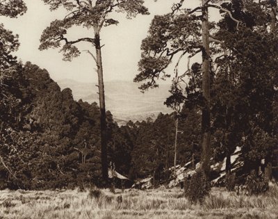 Mexiko: Divoké panorama na úpatí Pico de Orizaba (čb fotografie) od Hugo Brehme