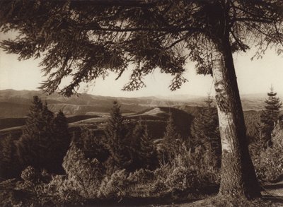Mexiko: Národní park, Desierto de los Leones (čb fotografie) od Hugo Brehme