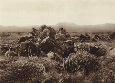 Mexiko: Pedregal, Corriente de basalto-lava u San Angel (čb fotografie) od Hugo Brehme