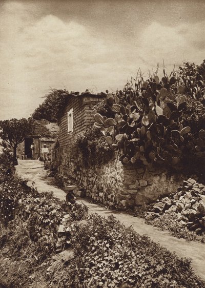Mexiko: Malebné zákoutí v San Angel D F (čb fotografie) od Hugo Brehme