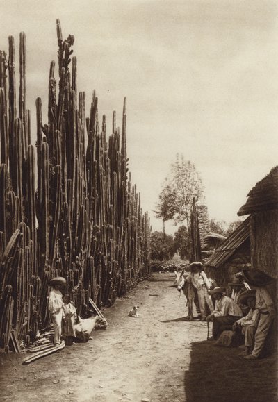 Mexiko: Santiago, charakteristická vesnická ulice s kaktusy ve tvaru sloupů (čb fotografie) od Hugo Brehme