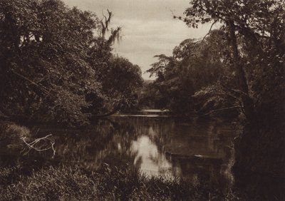 Mexiko: Tamasopo, Panorama del rio, stát Vera Cruz (čb fotografie) od Hugo Brehme