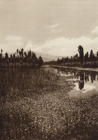 Mexiko: Xochimilco, jeden z hlavních kanálů (čb fotografie) od Hugo Brehme