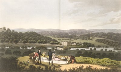 Obecný pohled na Longleat z Prospect Hill, z 