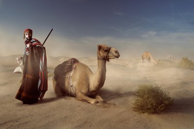 Cestovatel po arabské poušti od Hussain Buhligaha