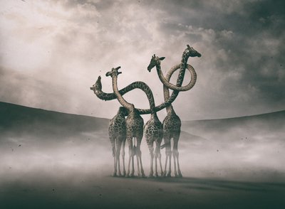 od Hussain Buhligaha