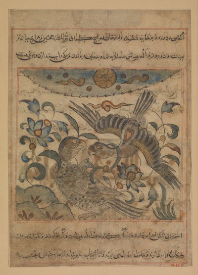 Pár orlů, Folio z Manafi