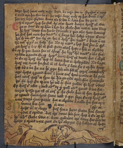 Koňský souboj, z Heynesboku (The Book of Heynes), 1. polovina 16. století od Icelandic School
