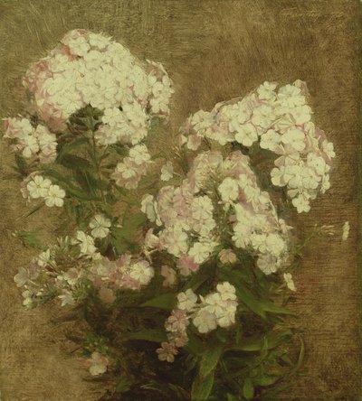 Phlox, 1870 od Ignace Henri Jean Fantin-Latour