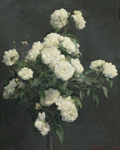 Zátiší bílých pivoněk, 1870 od Ignace Henri Jean Fantin Latour