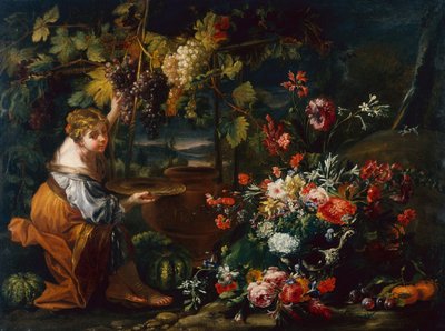 Mladá dívka sbírá hrozny (olej na plátně) od Il and Brueghel Abraham Borgognone