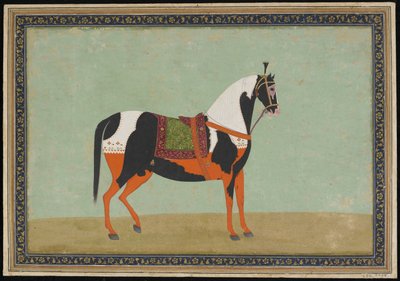 A Horse, Album folio, 19. století (neprůhledný akvarel a zlato na papíře) od Indian School