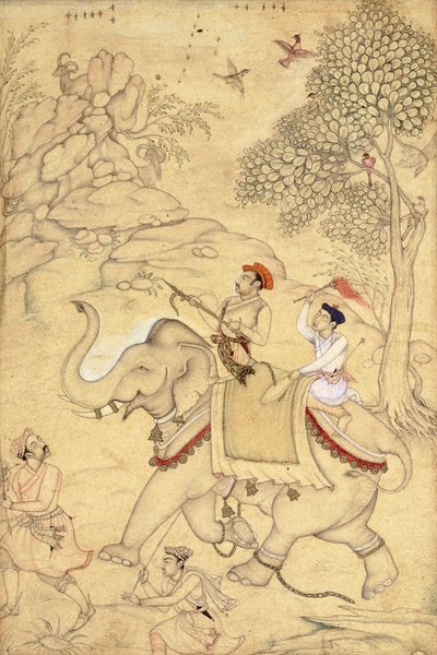 A Prince Hunting, Mounted on a Elephant, c.1600-1650 od Indian School