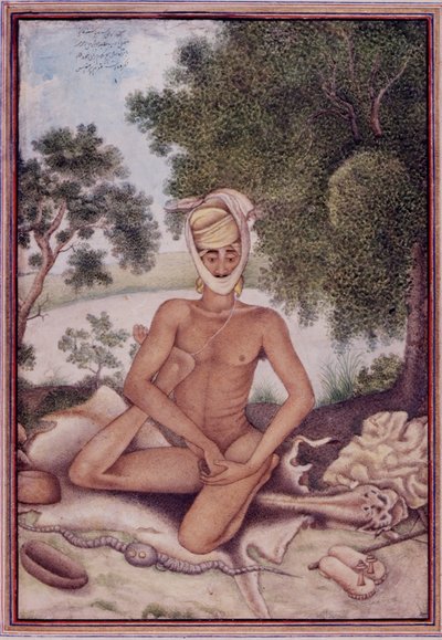 Přidejte 27255 fol.370v A Naked Ascetic, z 