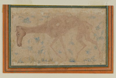 Vyhublý kůň, z Mughal nebo Deccan, polovina 17. století (inkoust a barva na papíře) od Indian School
