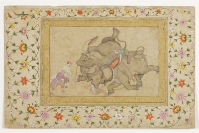 Boj se slony, s arabskou květinovou hranicí, cca 1610 (neprůhledné wc a zlato na papíře) od Indian School
