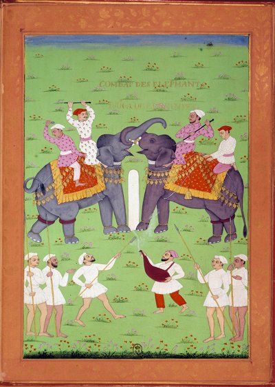 Bitva dvou slonů na dvoře indických a perských miniatur Shah Alema v „Historie Indie od Tamertante po Orangreyb““ od Niccolo Manucciho (1638-1717). B.N., Paříž. od Indian School